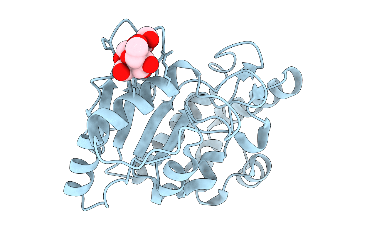 2C56 image