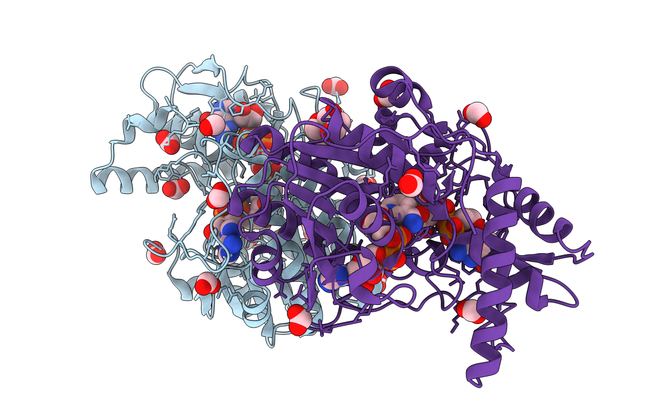2C5A image