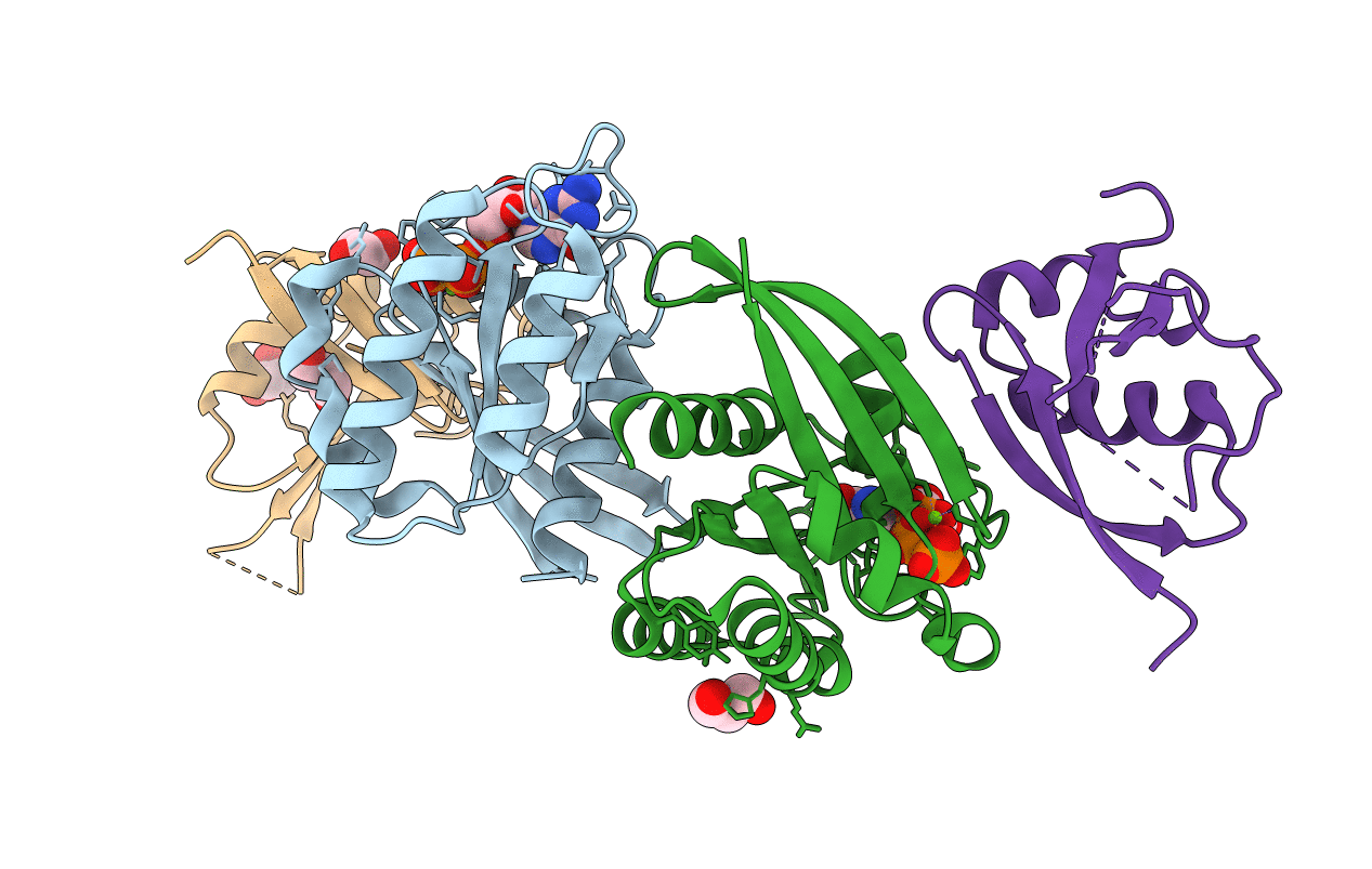 2C5L image