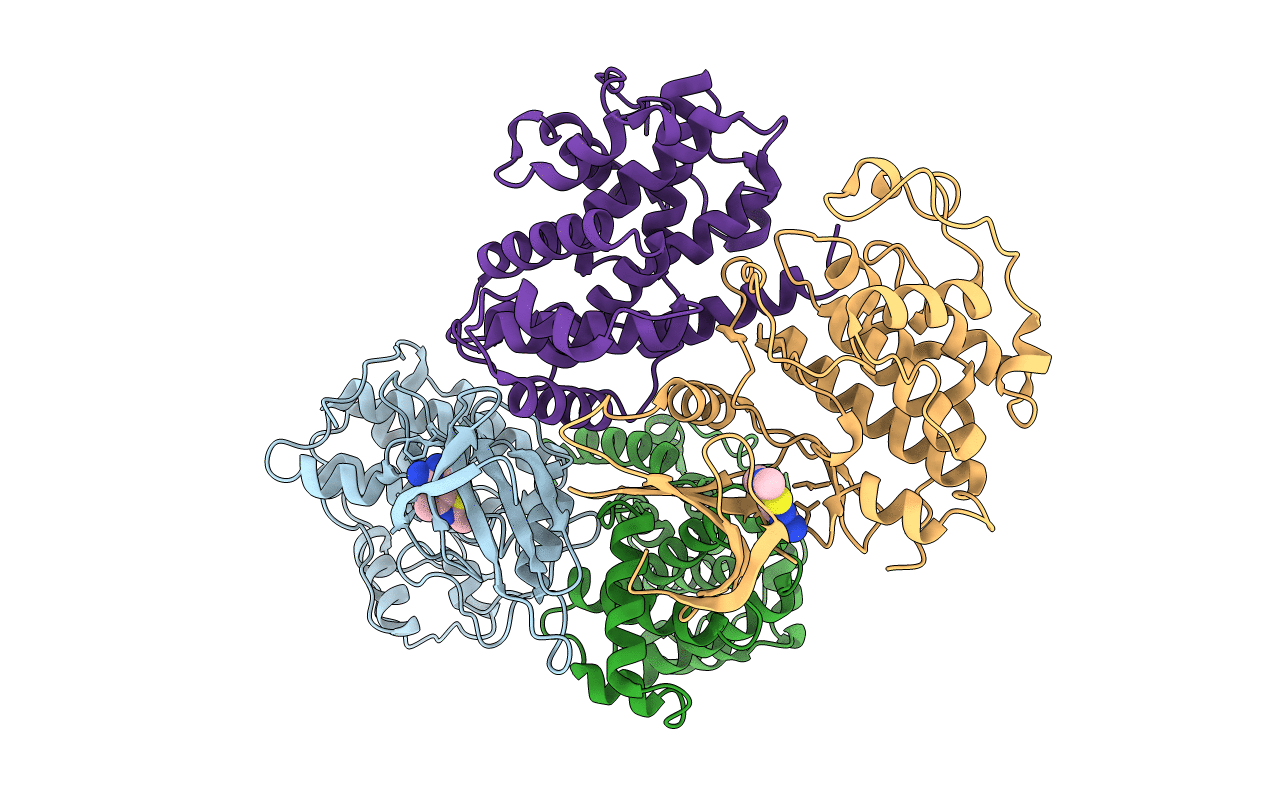 2C5O image