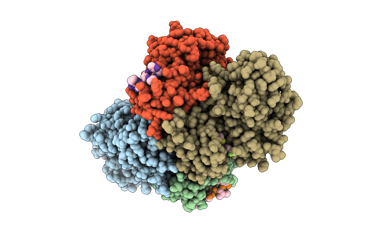 2C5V image