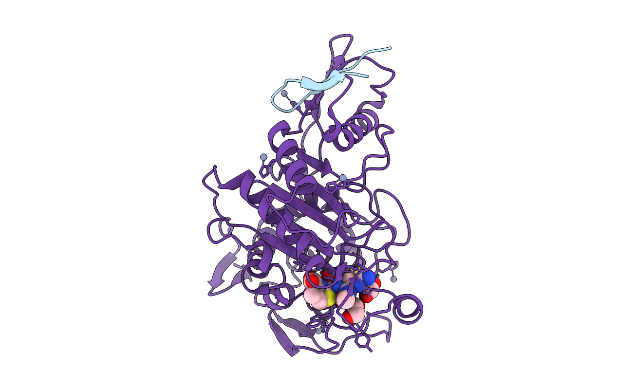 2C5W image