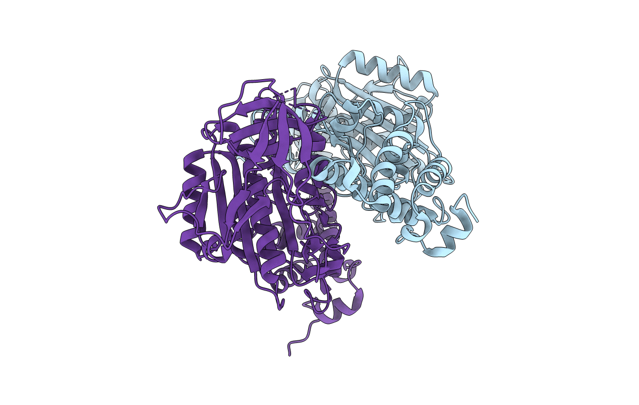 2C61 image