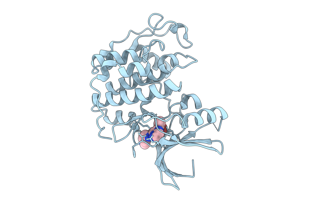 2C68 image