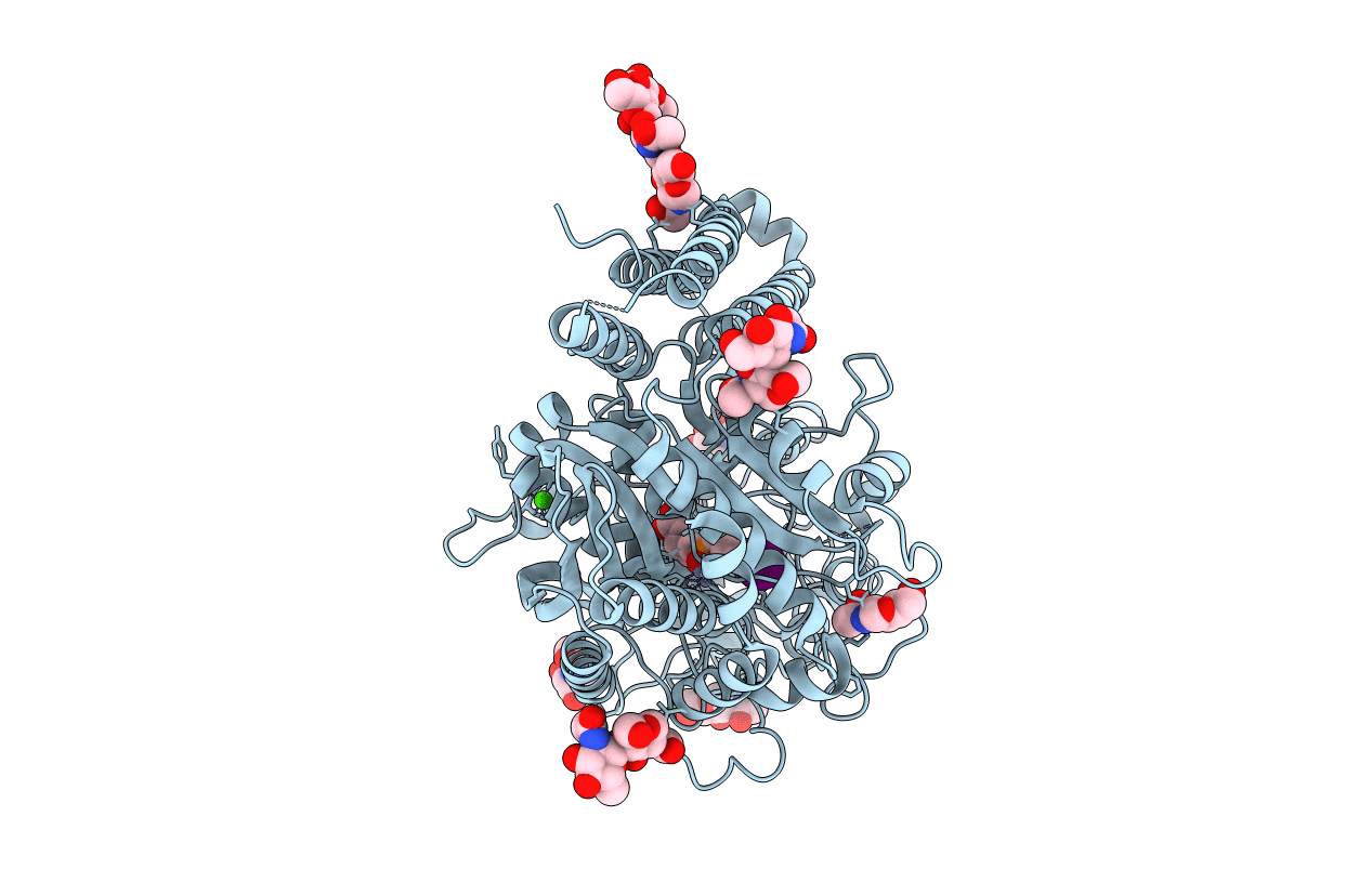 2C6C image