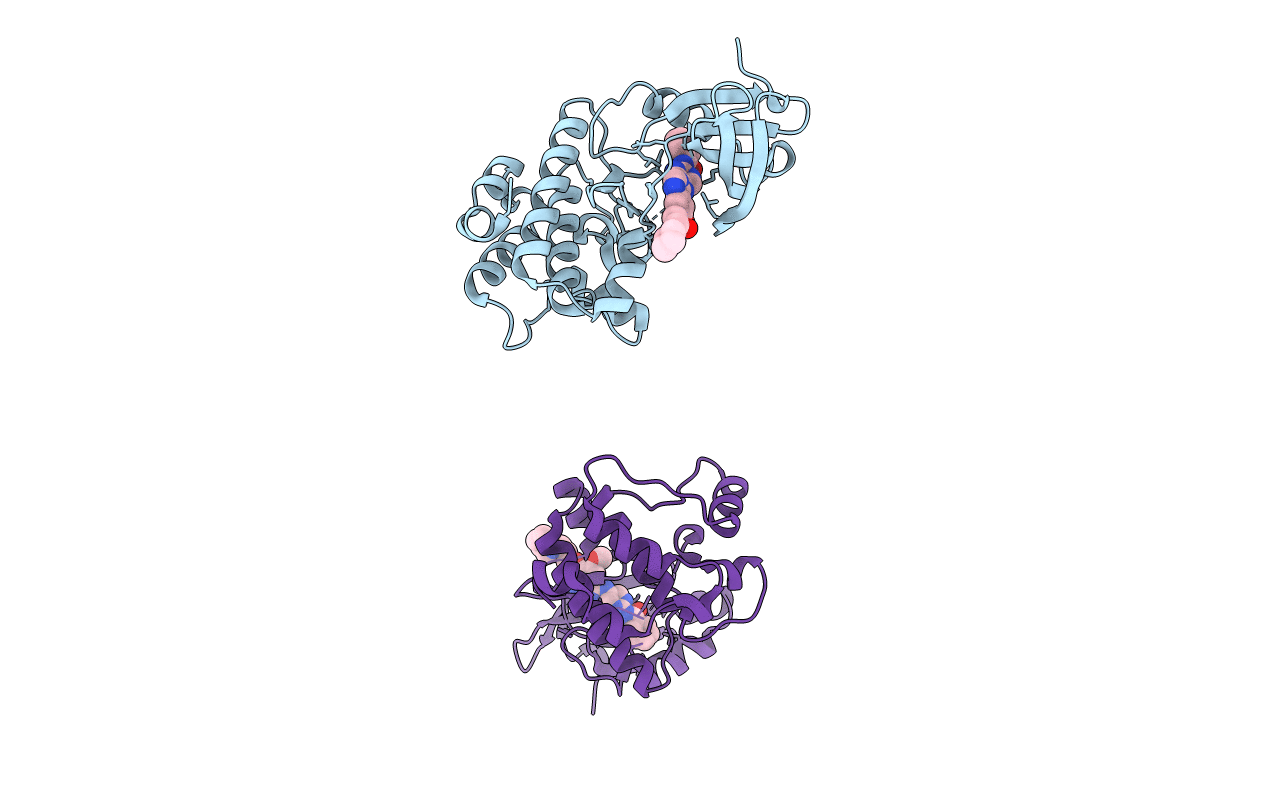 2C6E image