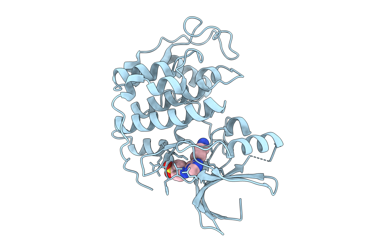 2C6L image