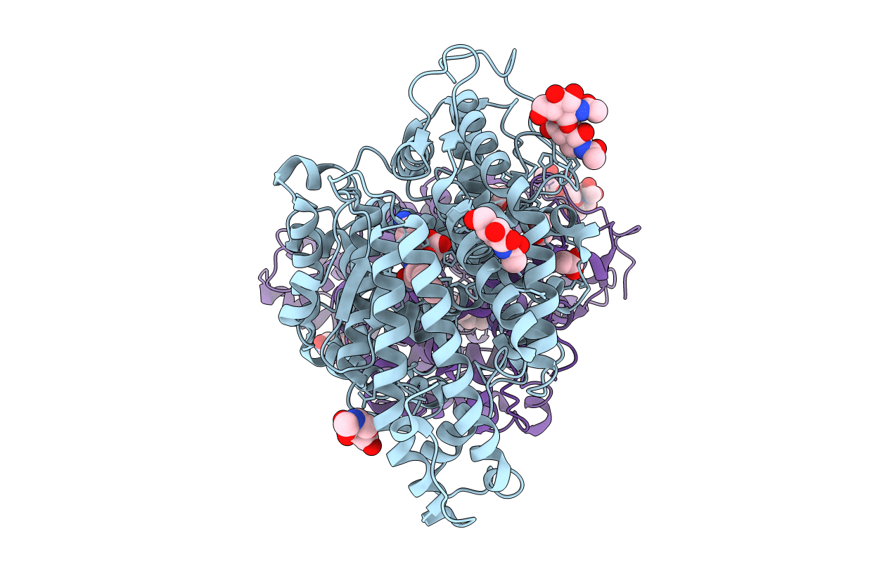 2C6N image