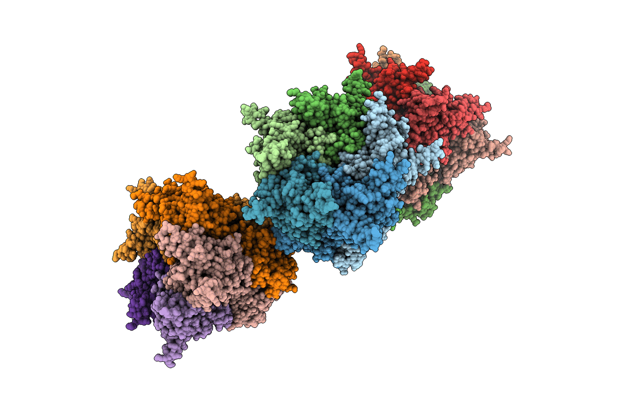 2C6S image