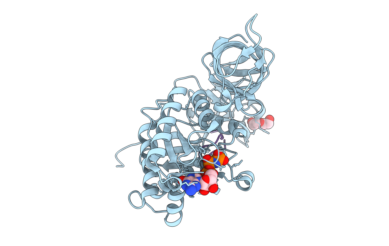 2C77 image