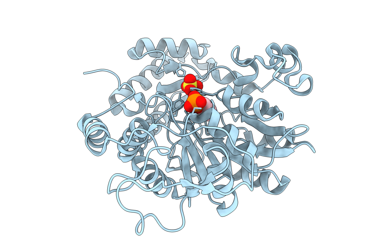 2C7T image