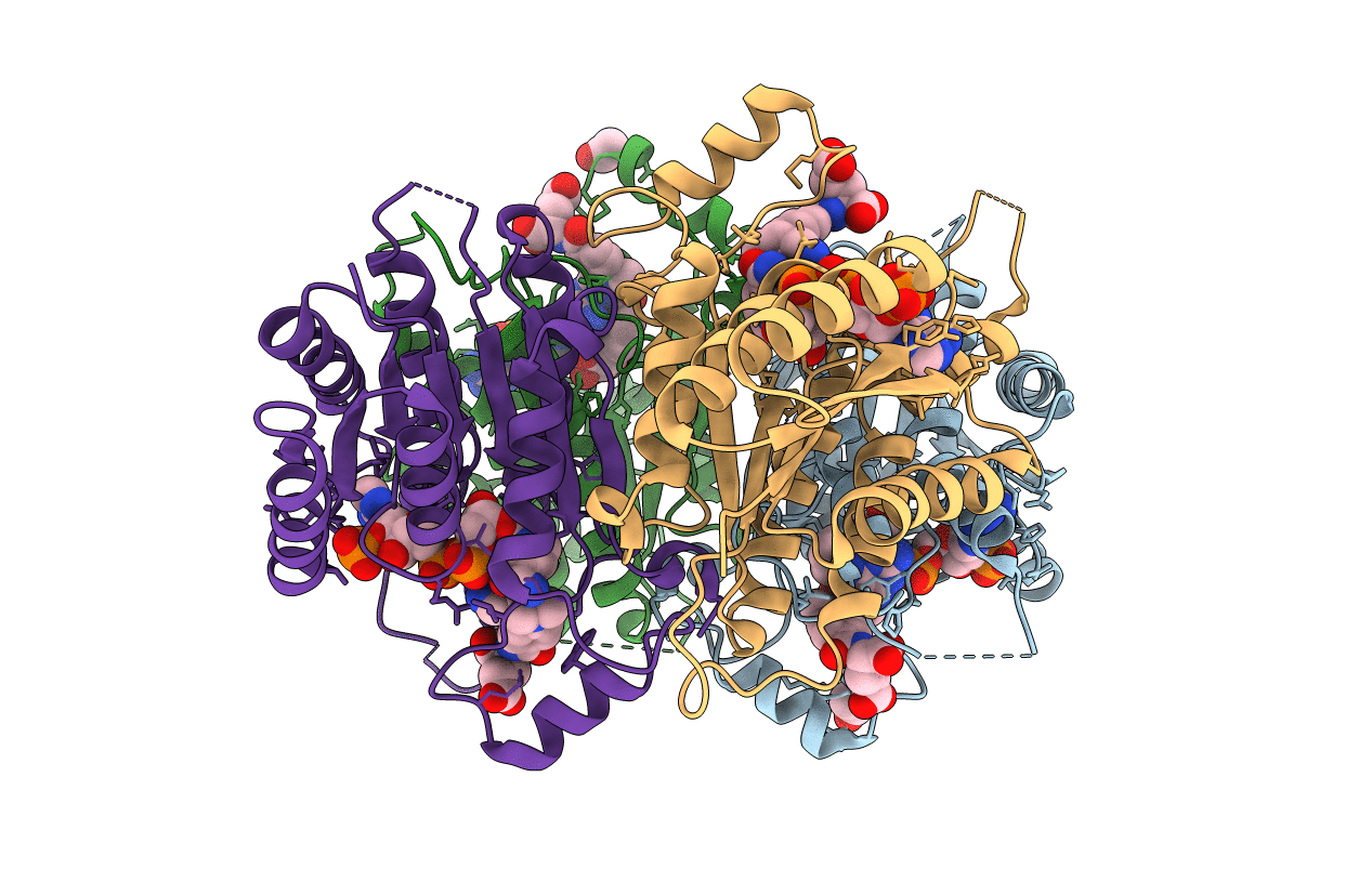 2C7V image