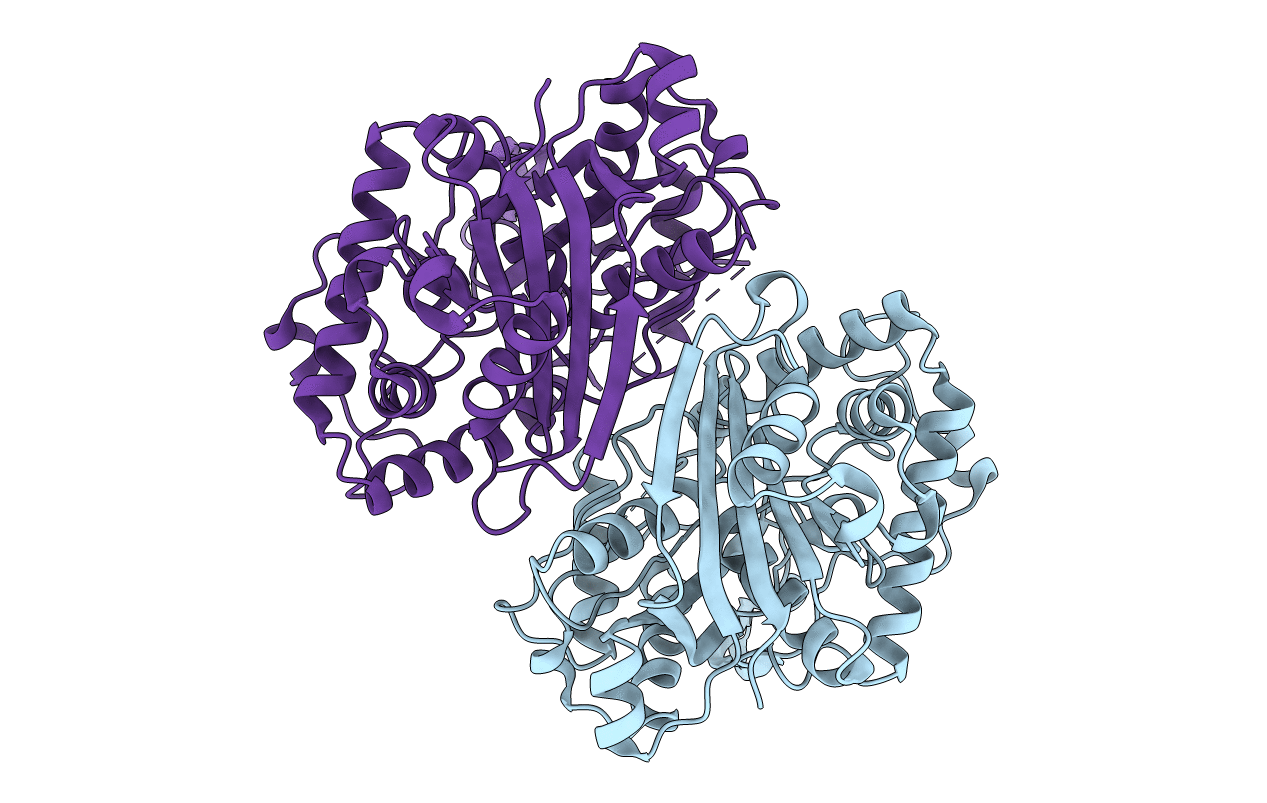2C7Y image