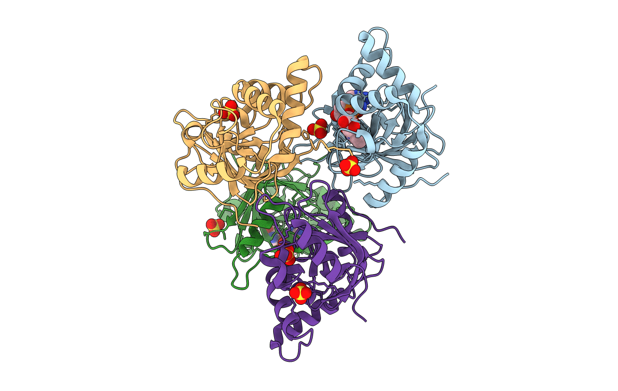 2C8H image
