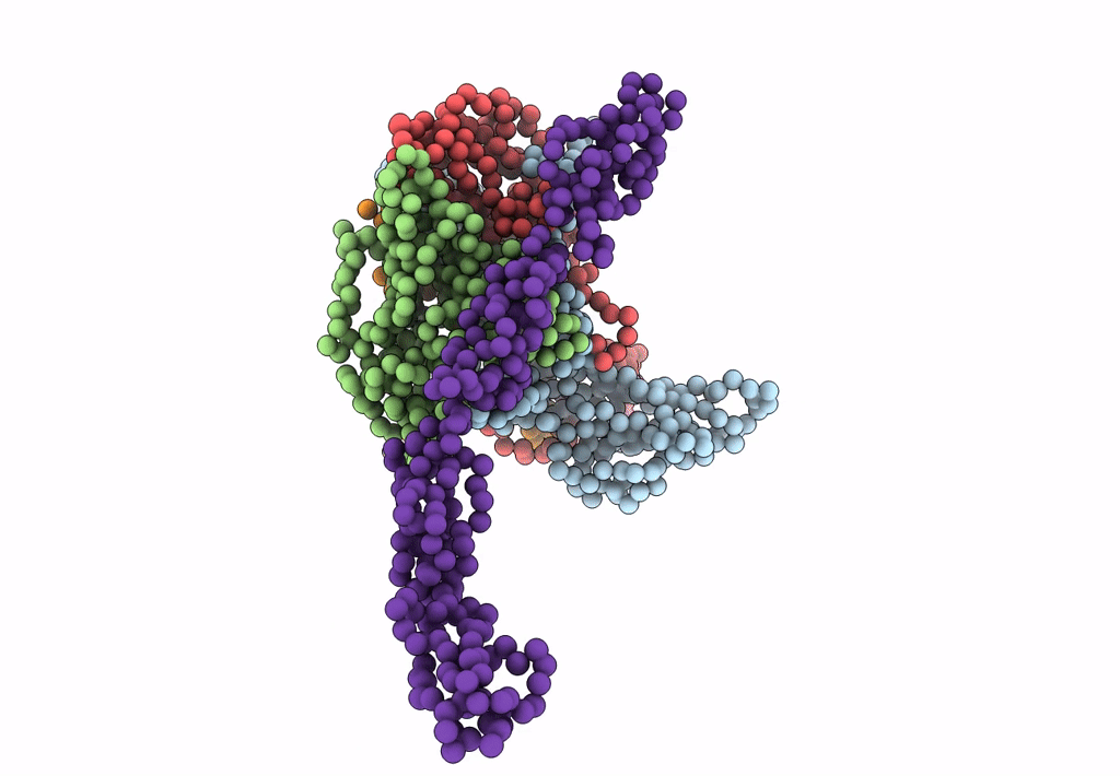 2C8I image