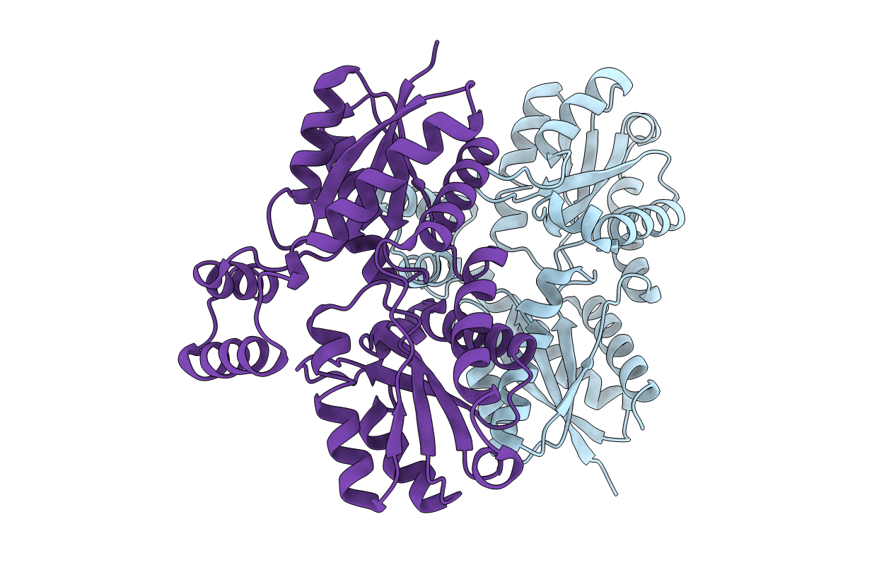 2C8J image