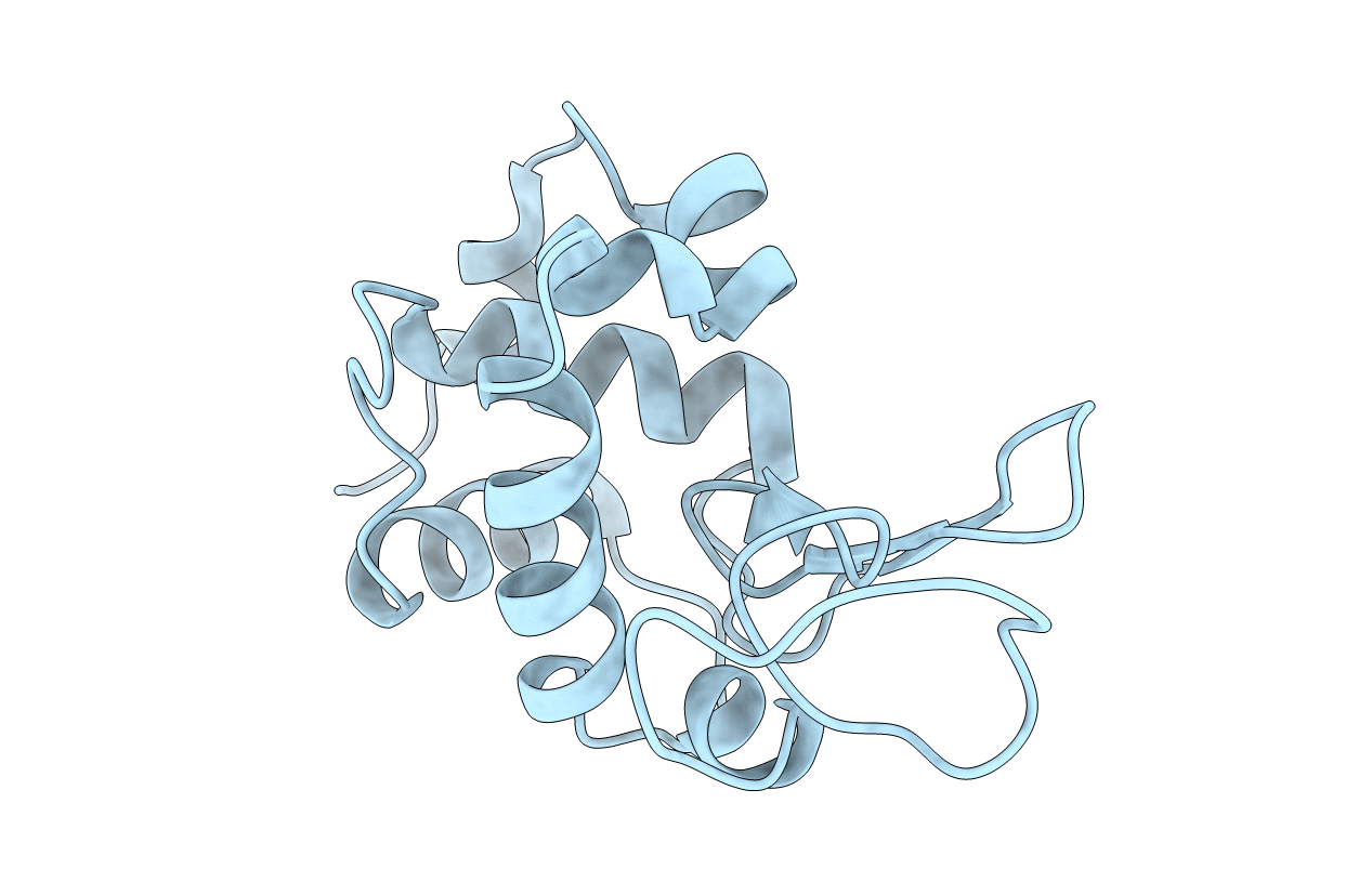 2C8O image