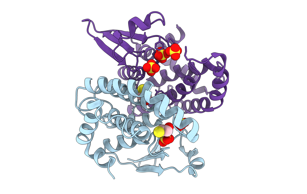 2C8U image