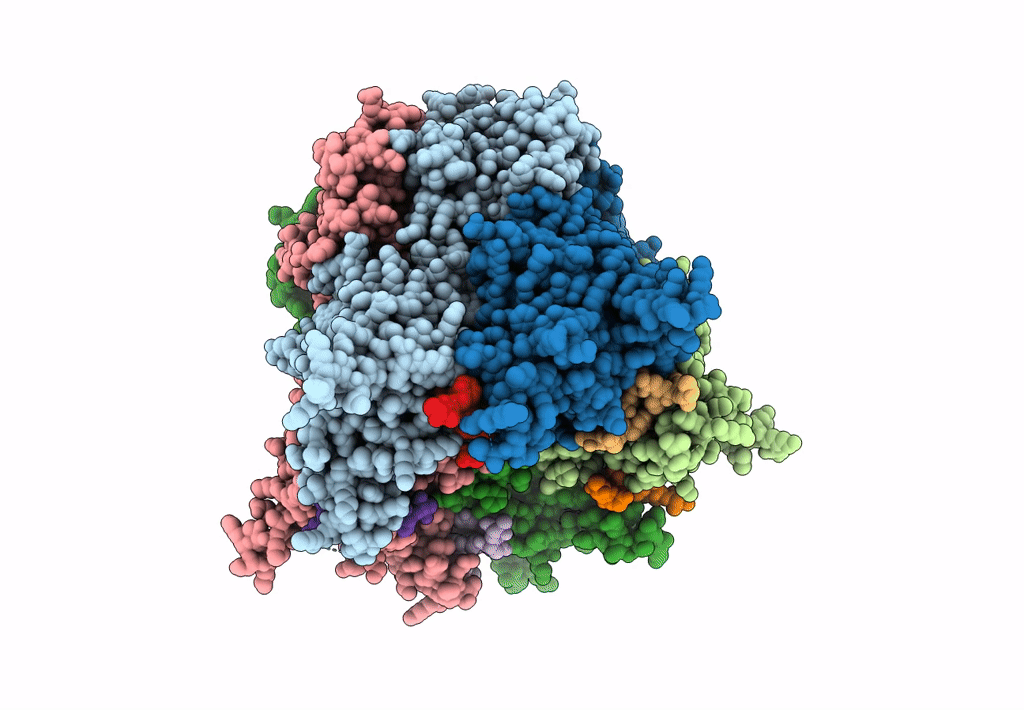 2C9F image