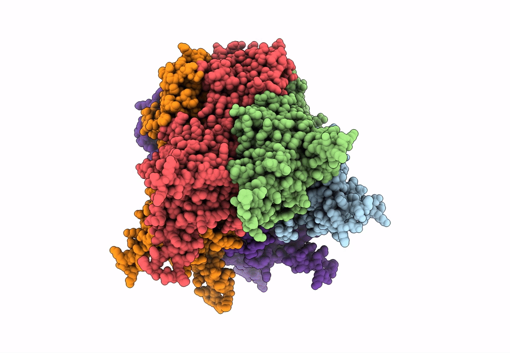 2C9G image