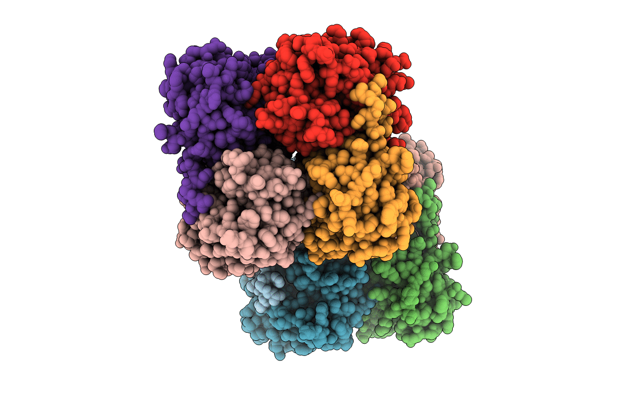 2C9I image