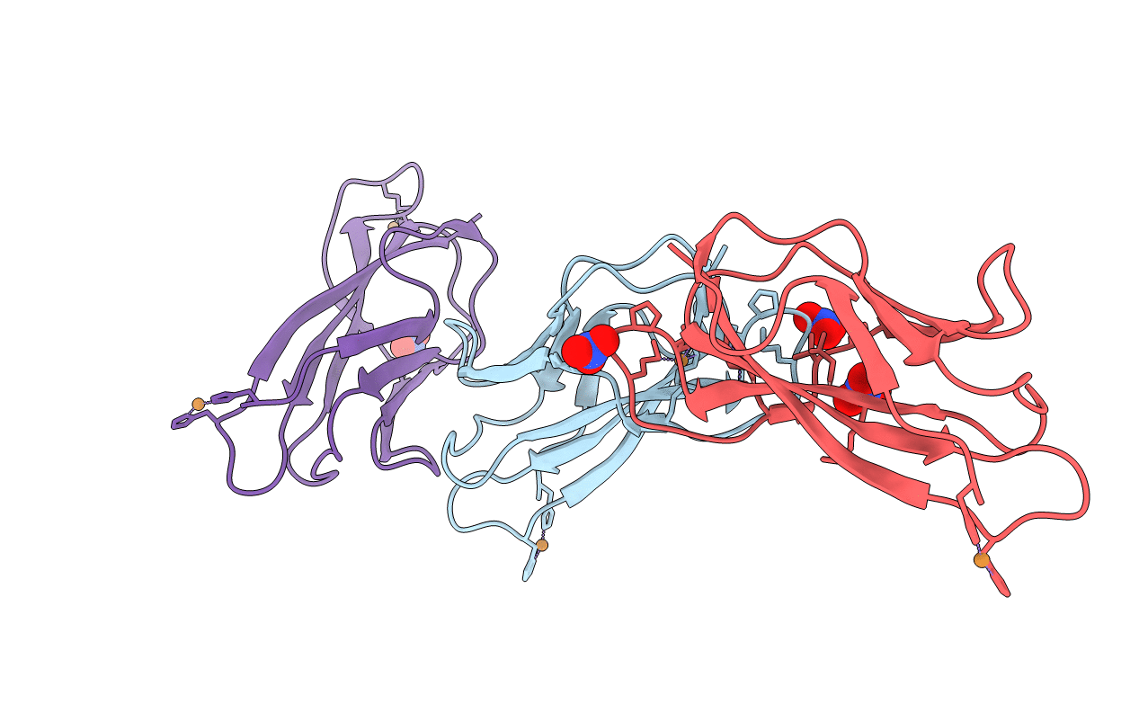 2C9P image