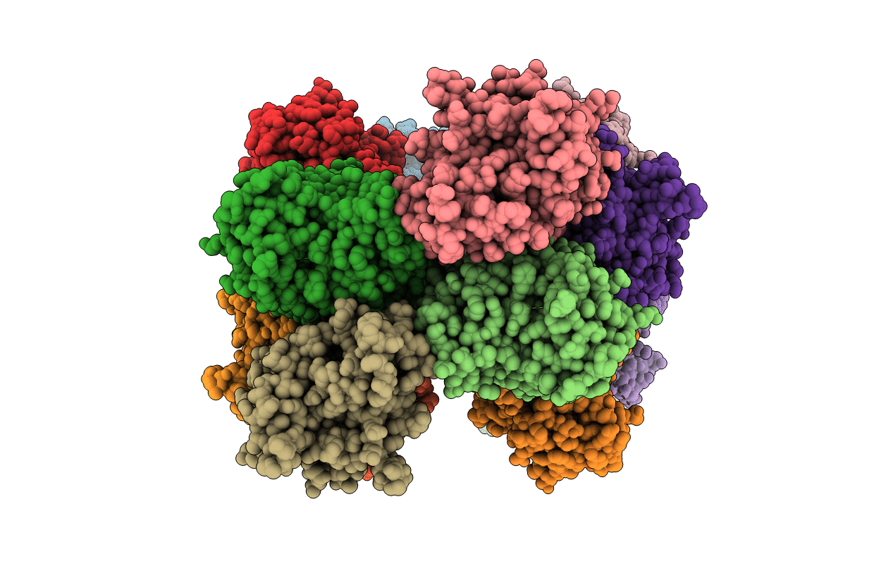 2CB6 image