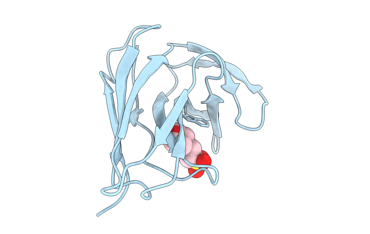 2CBM image