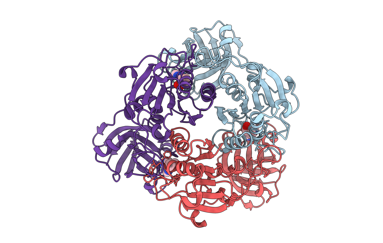 2CC2 image