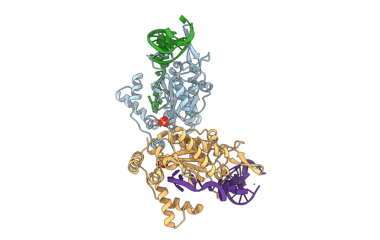 2CDM image