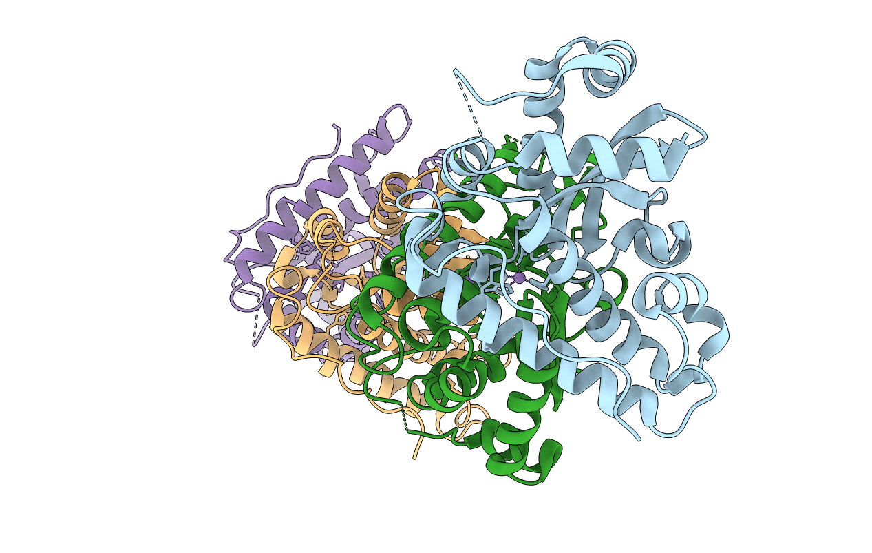 2CDY image