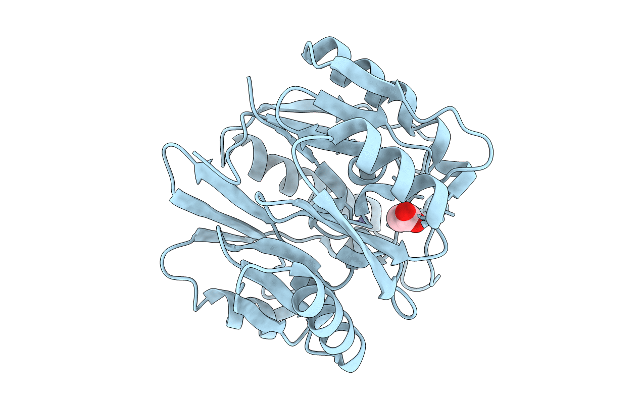 2CI7 image
