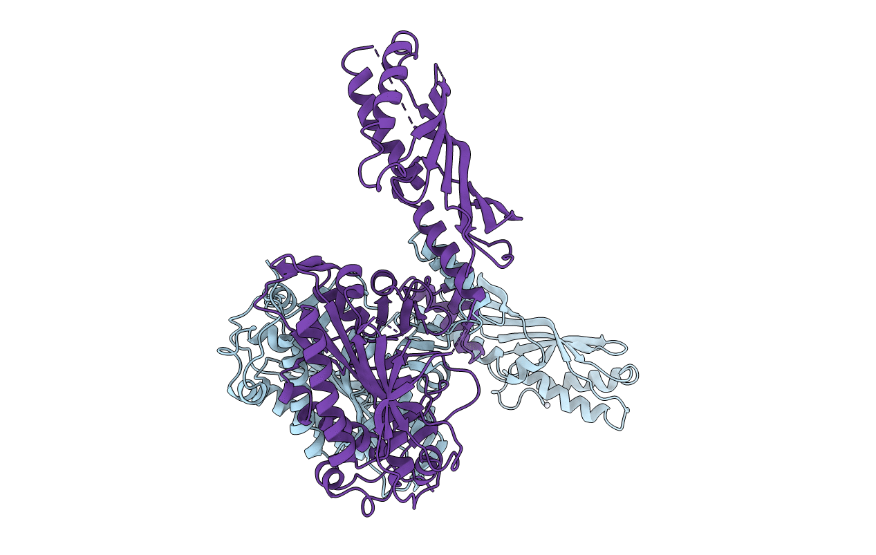 2CIM image