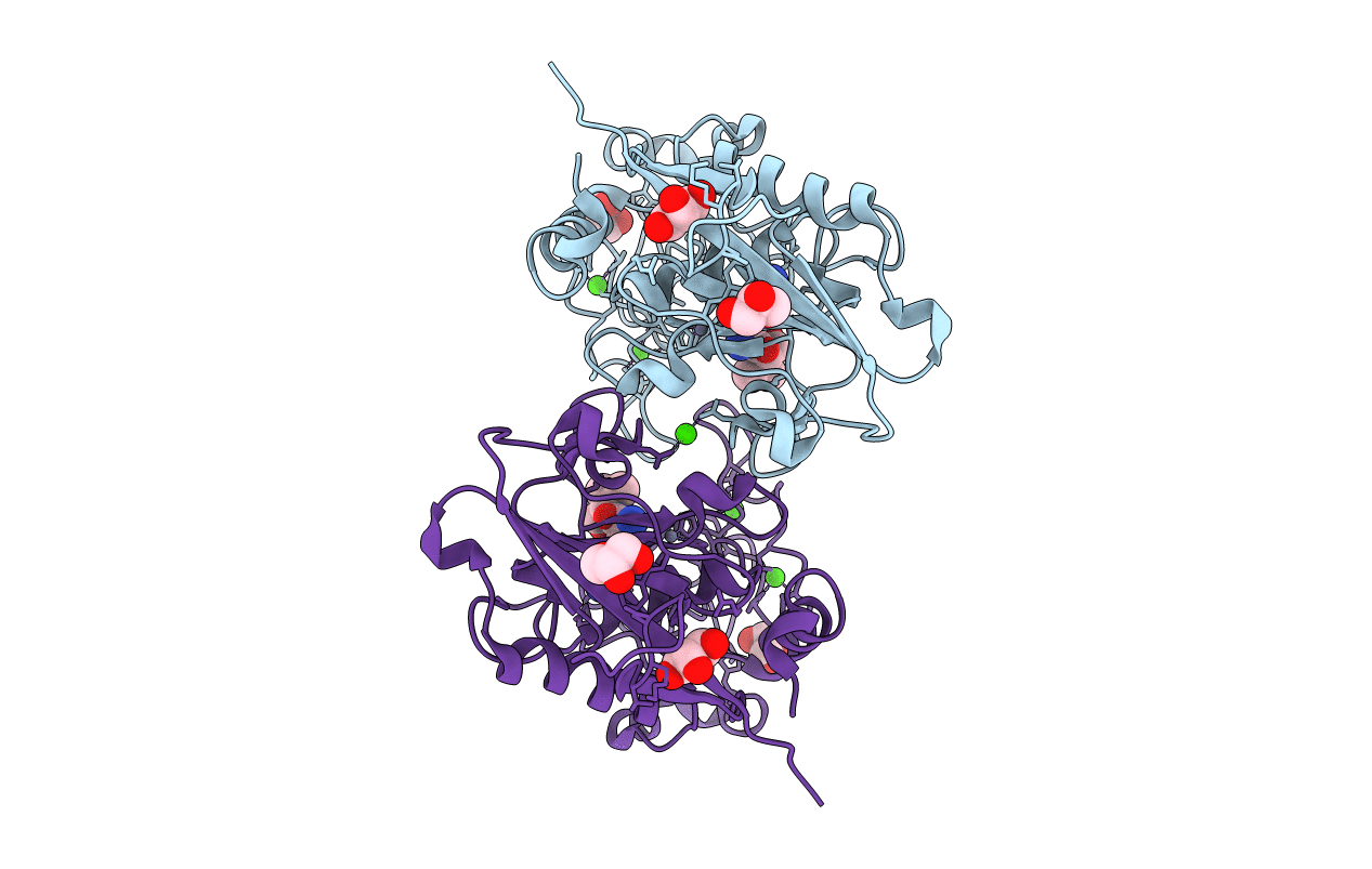 2CKI image