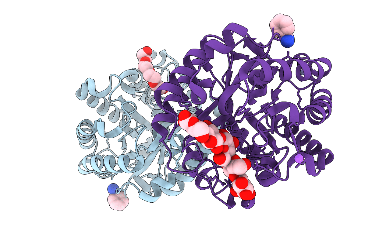 2CKR image