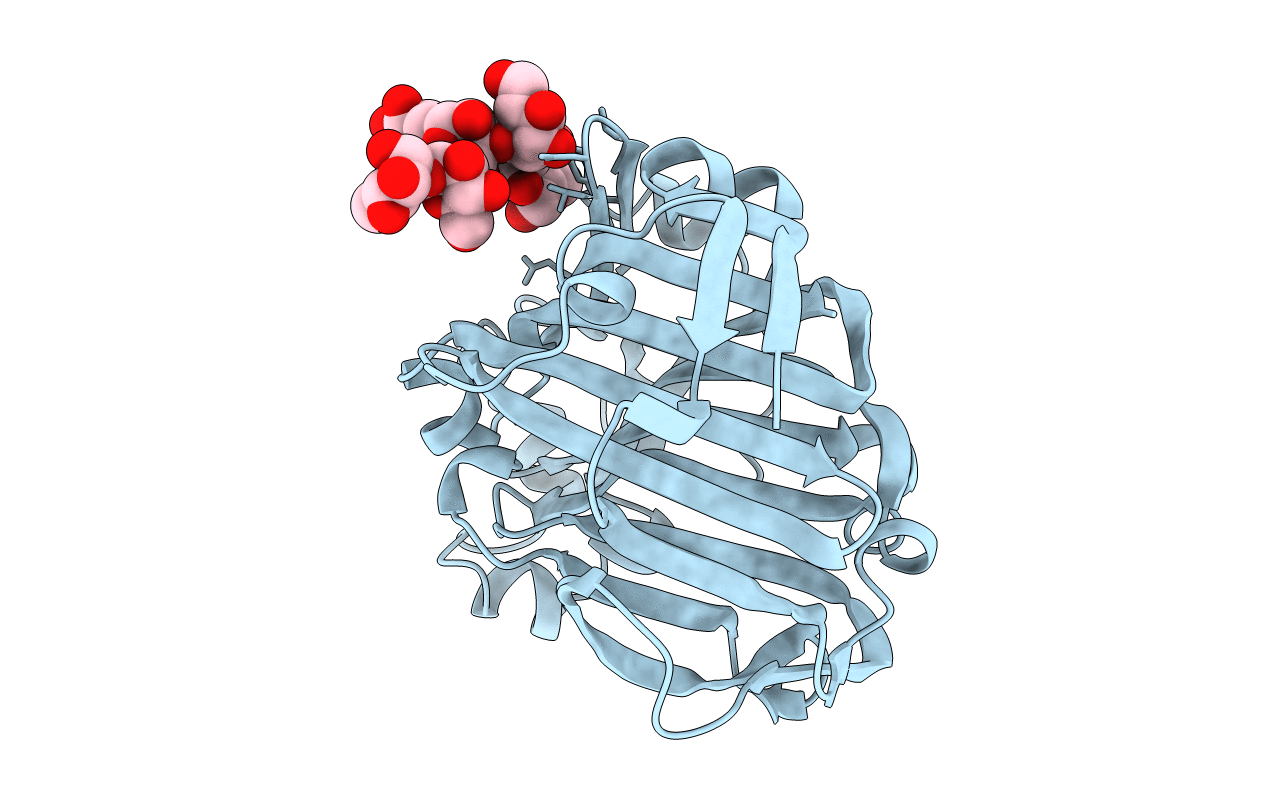2CL2 image