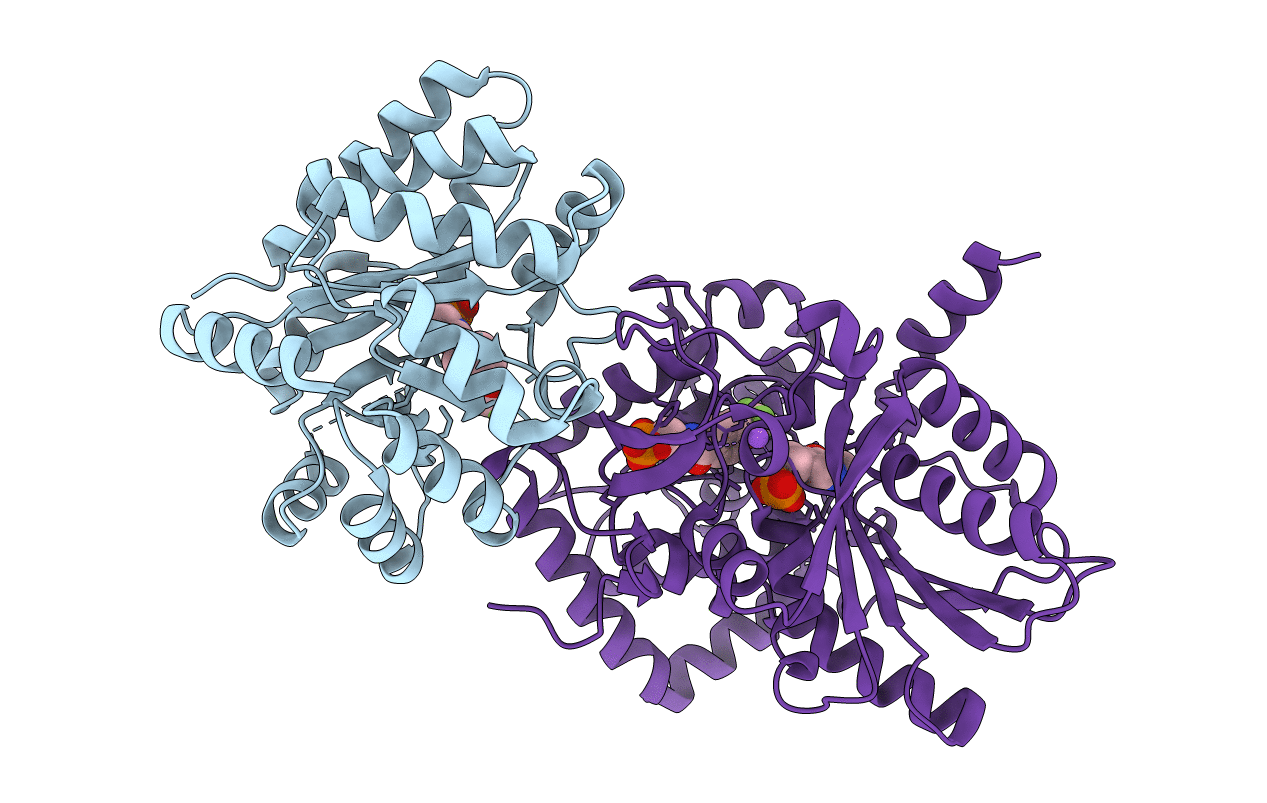 2CLF image