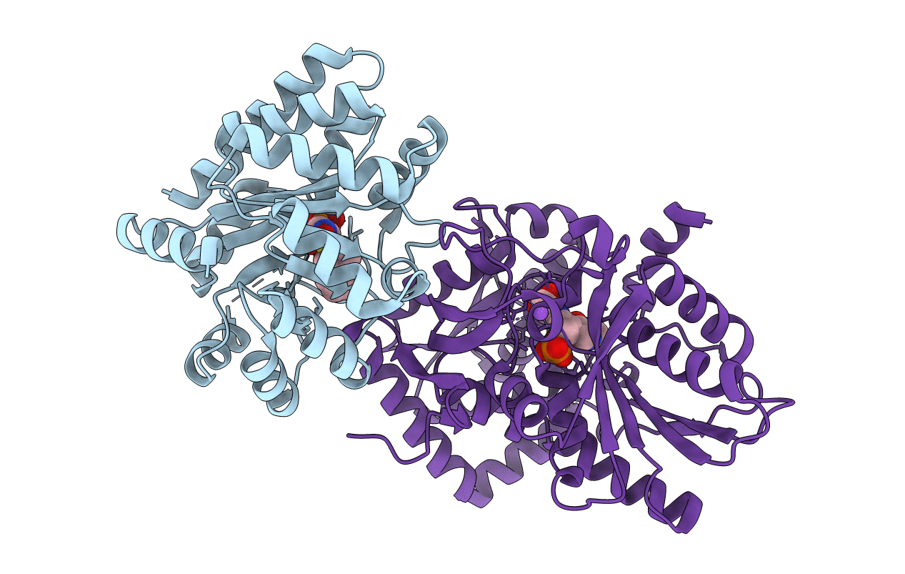 2CLO image