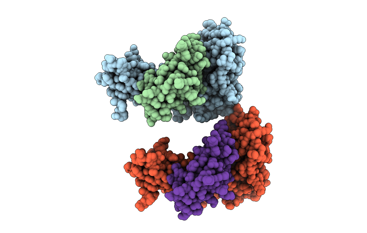 2CLV image