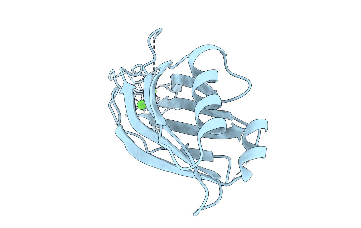 2CM5 image