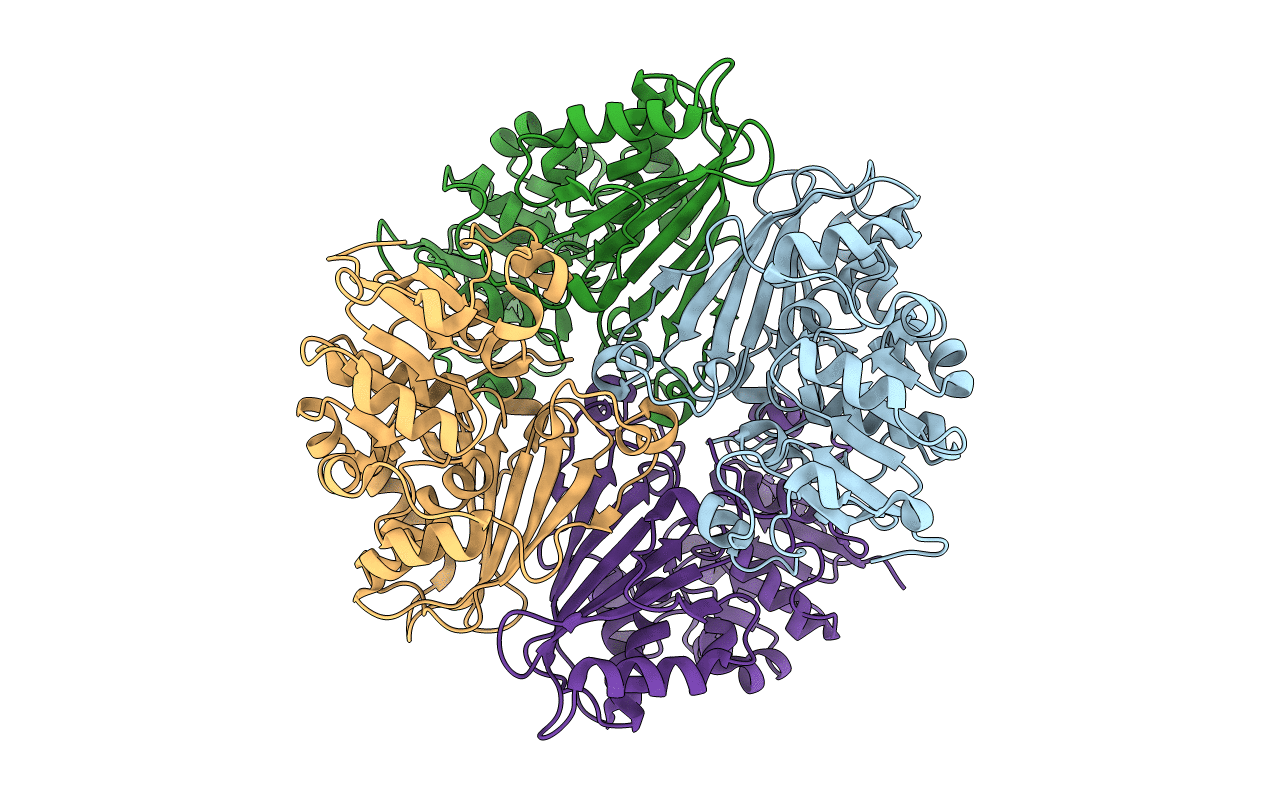 2CVO image