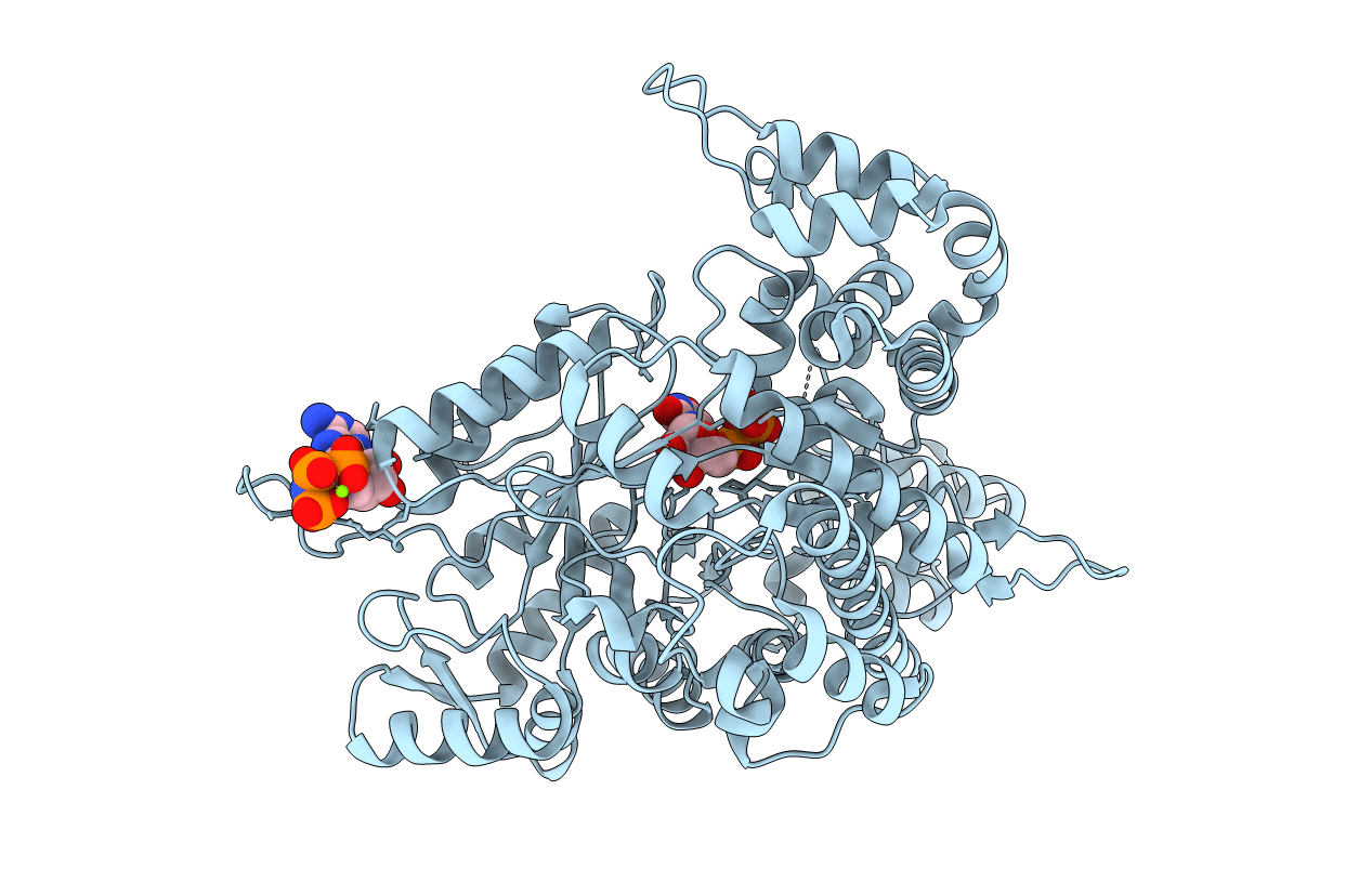2CVV image