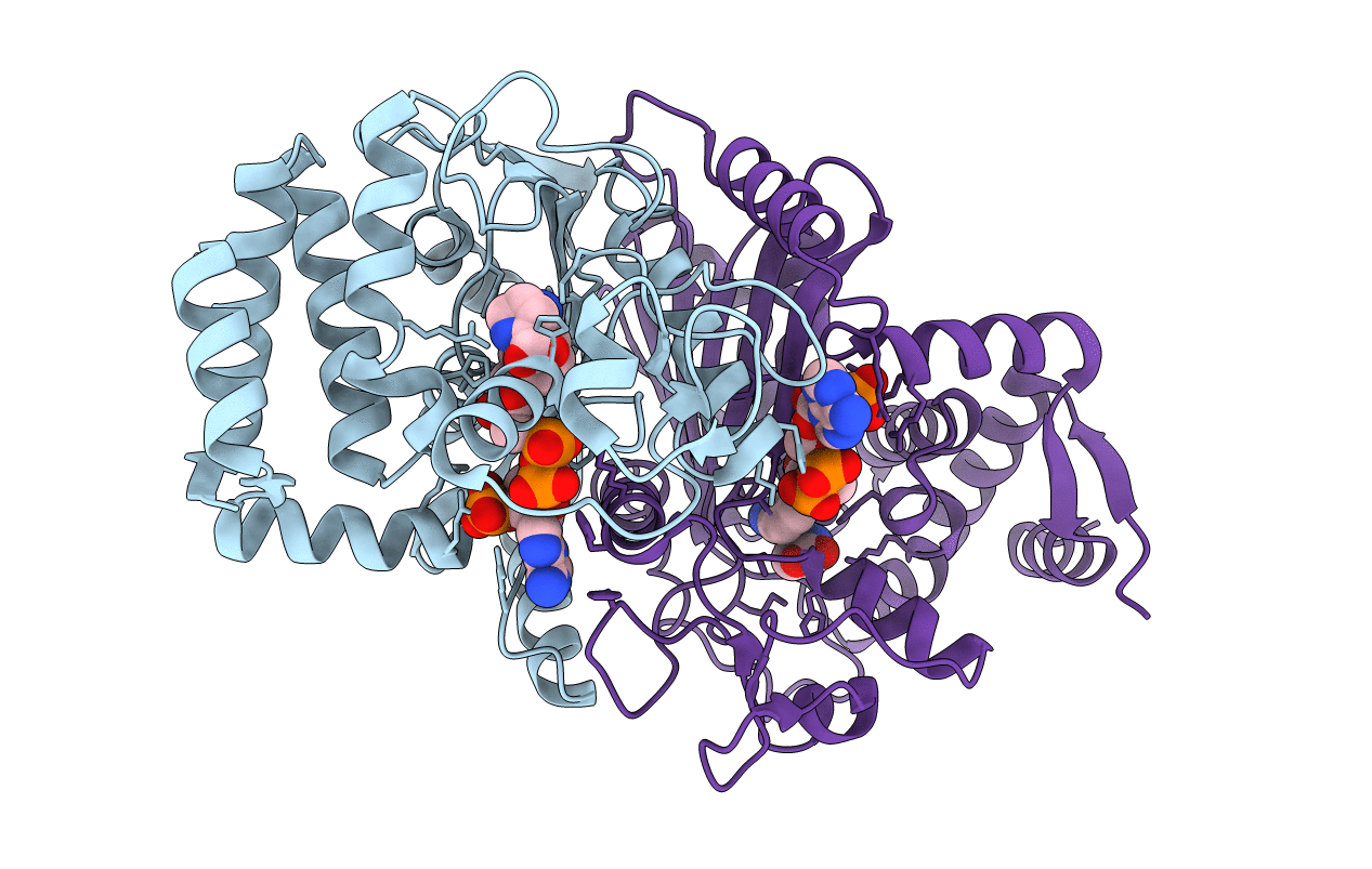2CWH image