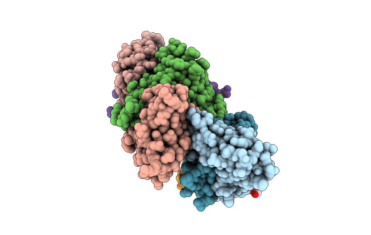 2D04 image