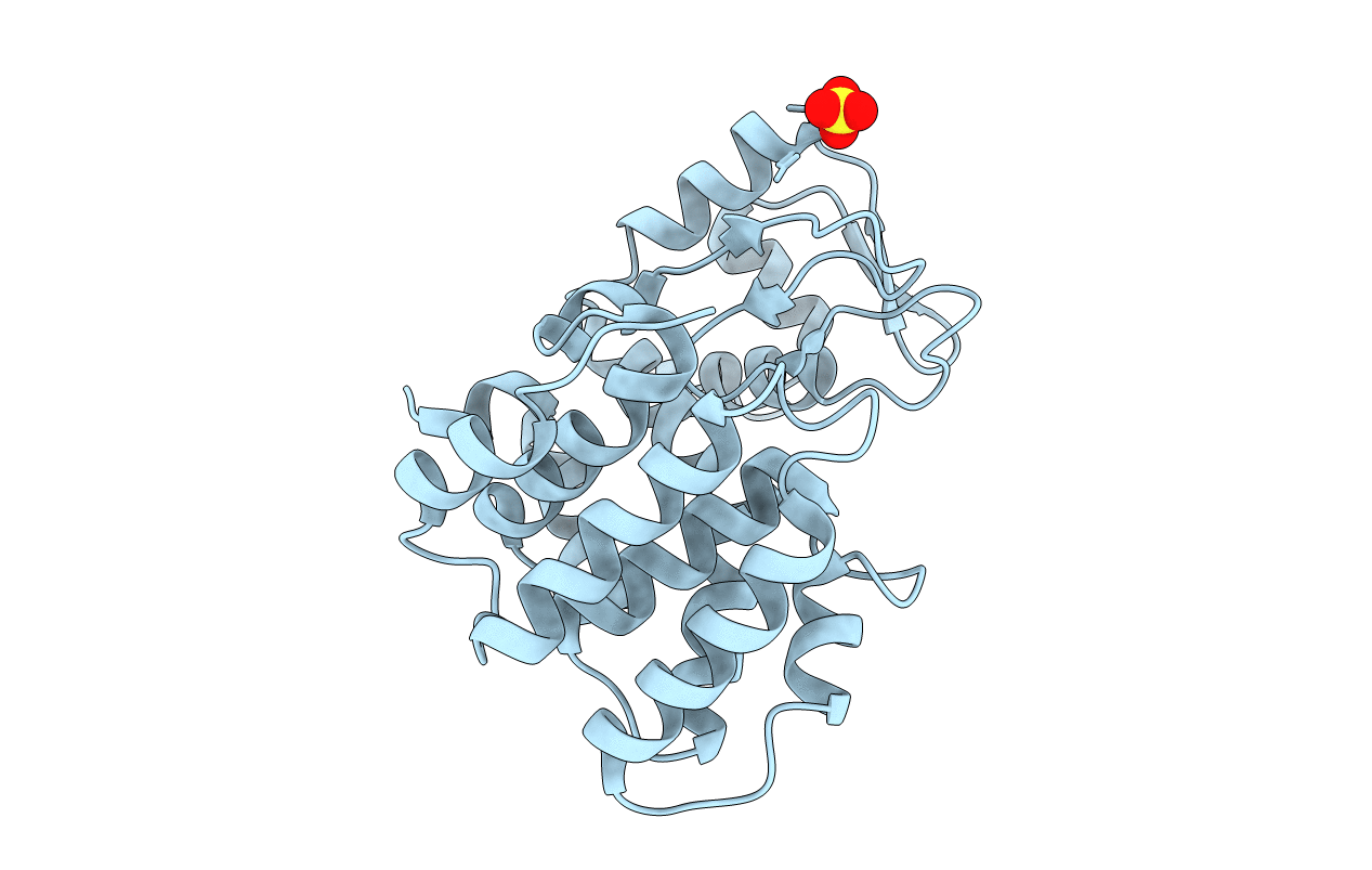 2D05 image