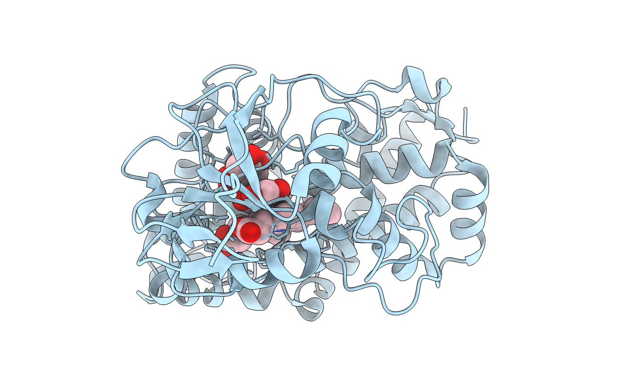 2D09 image