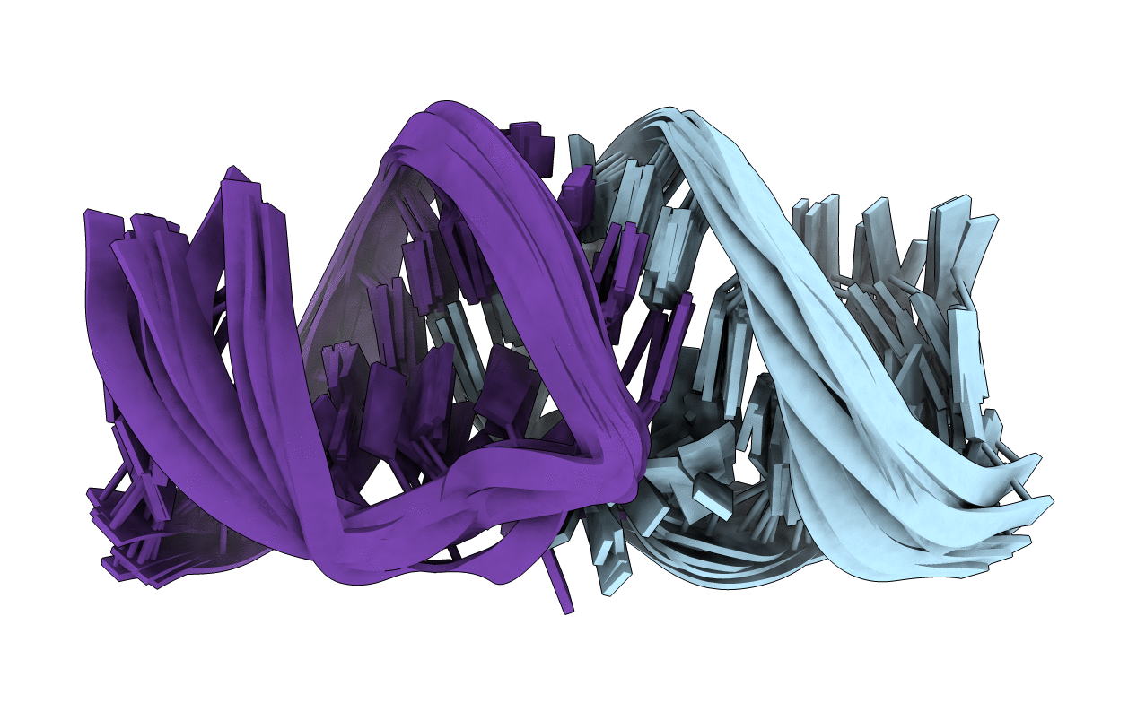 2D19 image