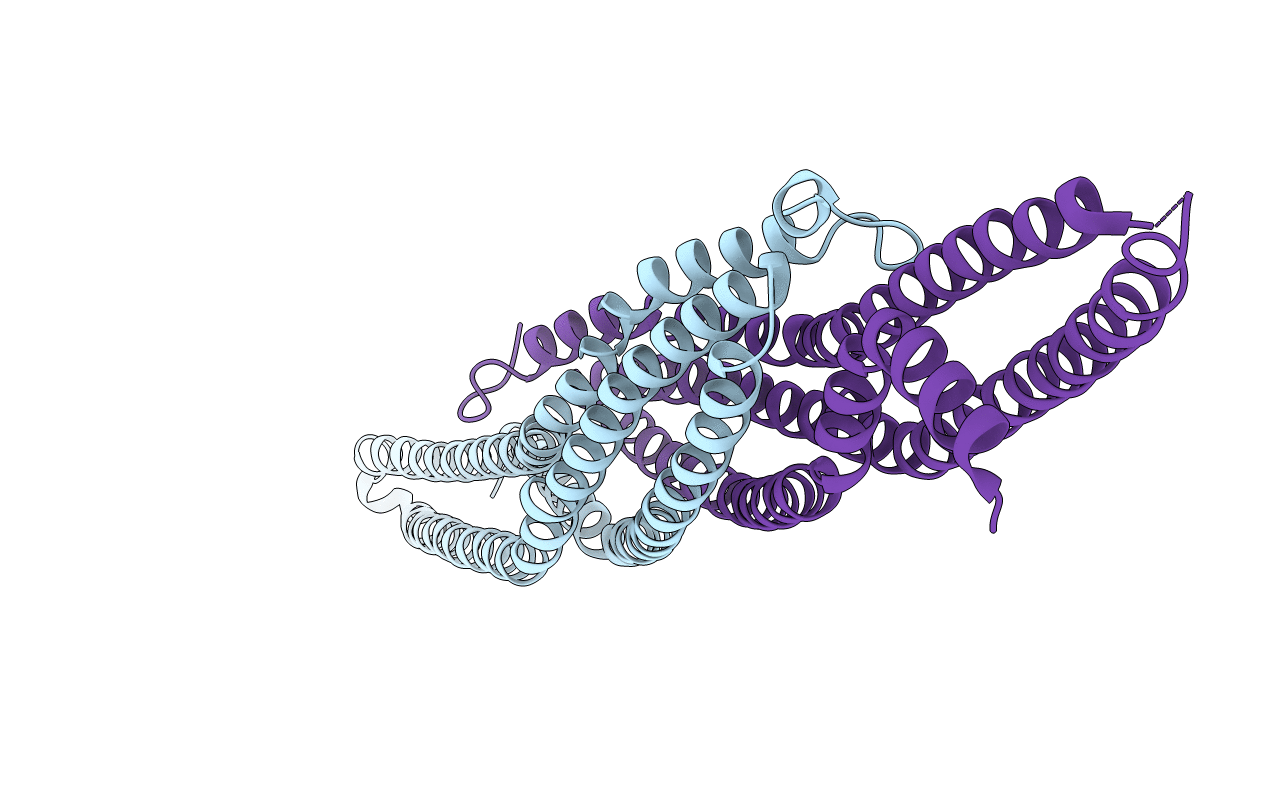 2D1L image