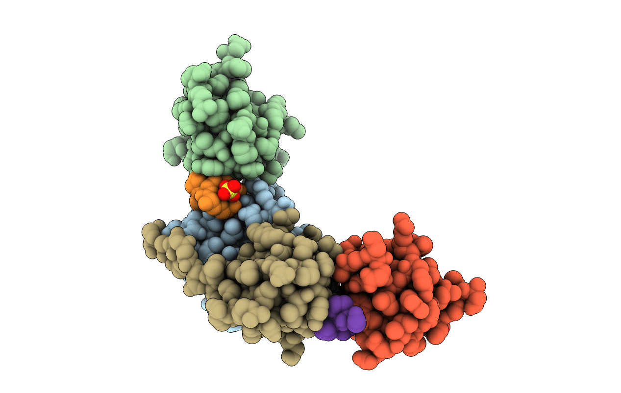 2D1X image