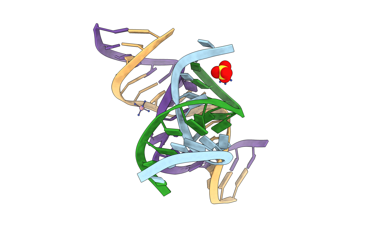 2D2L image